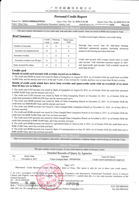 信用报告翻译案例