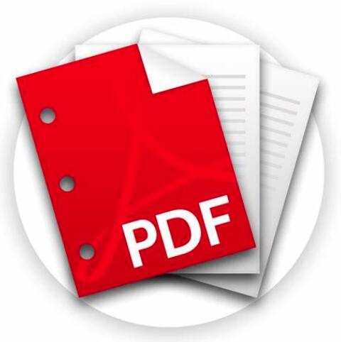 PDF文件翻译图片
